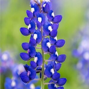 Bundles Your Likes For A Private Discount